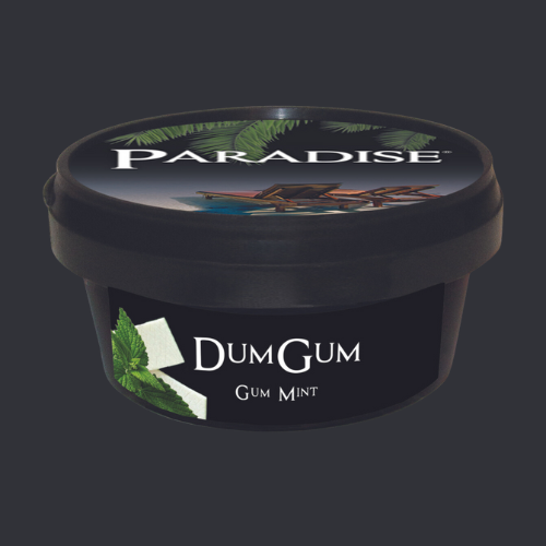 taste steamstones gum mint